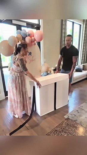 reveal.deals on TikTok