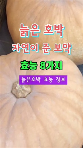 🌼자연이준 보약 늙은호박 #효능8가지 #늙은호박 #호박효능 #호박정보 #Shorts