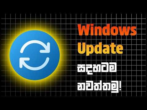 Windows Update වදයෙන් සදහටම බේරෙමු! 🛑 (Data ඉතුරු කරගන්න රහස් ක්‍රමය)