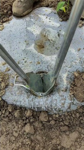 The fastest way to plant garden saplings! 🌱🛠️ #shorts