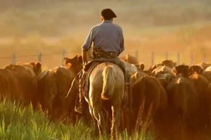 Explotación laboral y trabajo infantil, dos flagelos que unen al Estado, al gremio y a los empleadores