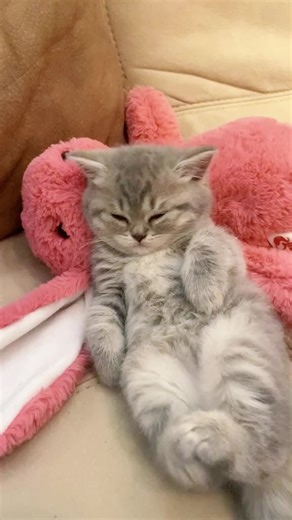 مرحباً يا صديقي.Hello, my friend.