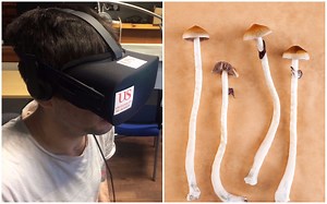 I Tripped on Shrooms in VR With the 'Hallucination Machine'
