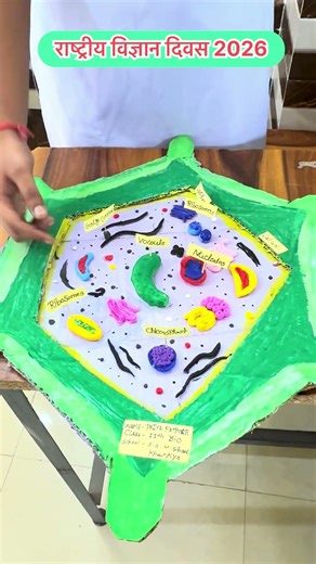 National science day-2026, Model-014 #education #school #science #biology #cgschool #model shahnisir