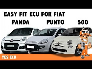 Fixing misfire with Easy Fit ECU. Fiat 500 Punto Panda Ford KA