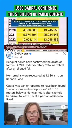 Supporters of Pulong Duterte and Sara Duterte