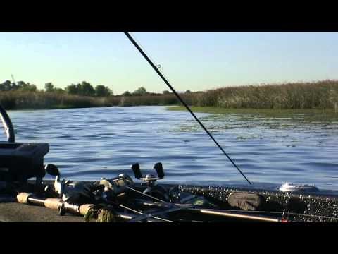 California Delta Bass Fishing Guide - Rus Snyders