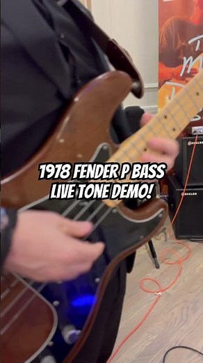 1978 Fender P Bass LIVE Tone Demo #pbass #bass #basssolo
