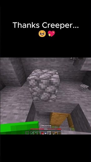 do NOT FREAK the SOUND... 🤨 #minecraft