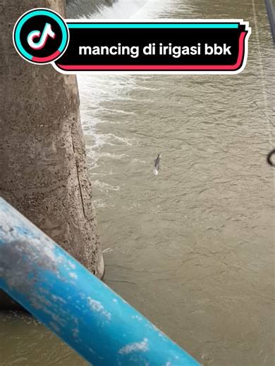 Mancing di Bendungan BBK: Hasil Memuaskan!