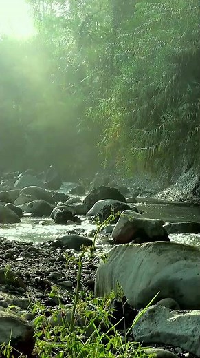 Relaxing Rocky River Sounds 4K | Sunlight & Nature for Sleep, Study, Stress Relief #shorts