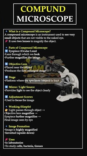 COMPOUND MICROSCOPE | EXAM CHITS #examchits #education