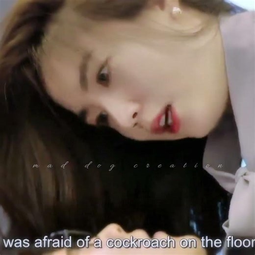 [ Mad dog ] female agent 💫❤️