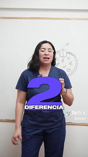 Ribosomas y Lisosomas en la Biología Celular
