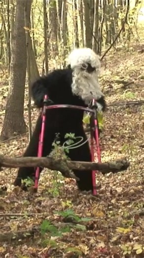 Butchy Kid (@butchykidvideos)’s videos with original sound - Butchy Kid