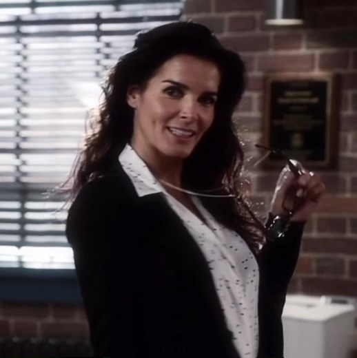 Angie Harmon Jane Rizzoli Sexy Librarian Transformation