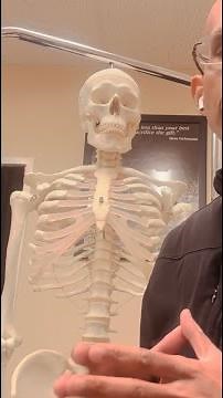 Contusions of the Sternum: What Are They?