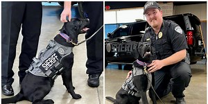 Bell County Sheriff’s Department welcomes new K9