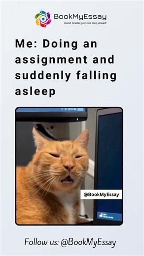 POV: Late Night Assignment Gone Wrong 😴