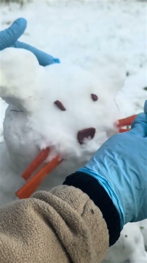 Snowman for red pandas