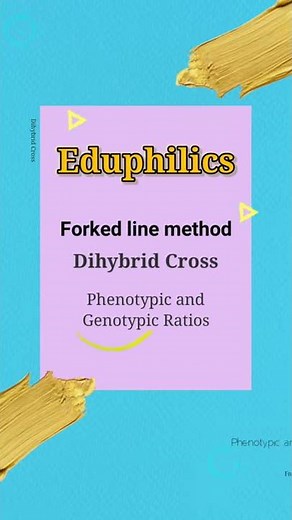 #shorts ; Dihybrid Cross in pea using forked line method in Genetics / branch line