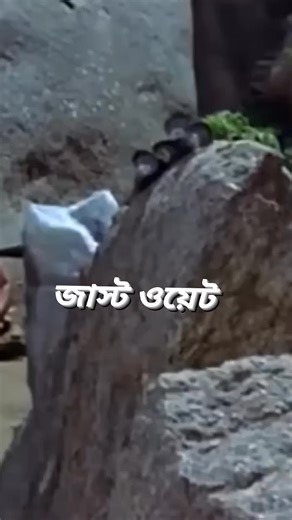 Pintu Basak on Instagram: "Pintu Basak"
