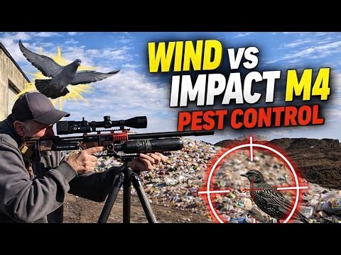 FX Impact M4 Pest Bird Hunting in High Winds | Custom FDE Build | Extreme Accuracy Test