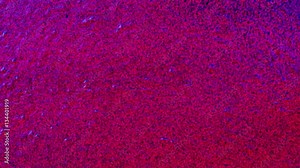 Awesome colorful background video in 4K perfect for texts and presentations