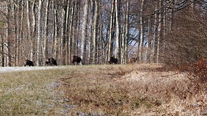 Box, Cardboard, Board, Package