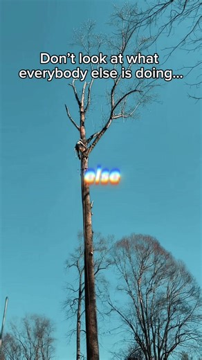 Everybody’s chasing trends. We’re focused on doing the work right, every time. 🌳💪 #TreeWork #ArboristLife #BlueCollarPride #DoTheWork #TriCitiesTN