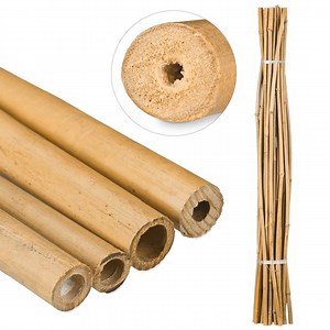 bamboe stokken 150 cm - set van 25 - plantensteun | bol