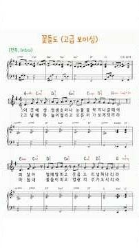꽃들도 (고급 보이싱)