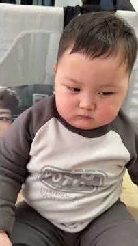 Cute Cub's Pillow Disaster! 😢 Watch This Heartbreaking Phone Adventure