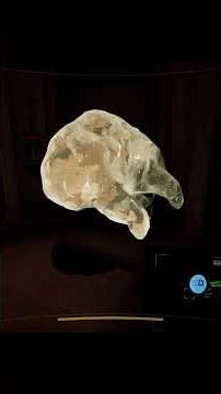 Content Warning! #shorts #contentwarning #funny