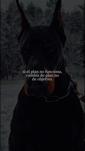 sin el plan no funciona ya sabes que hacer! #viral #LIVEIncentiveProgram #LIVECanBeEasy #PaidPartnership