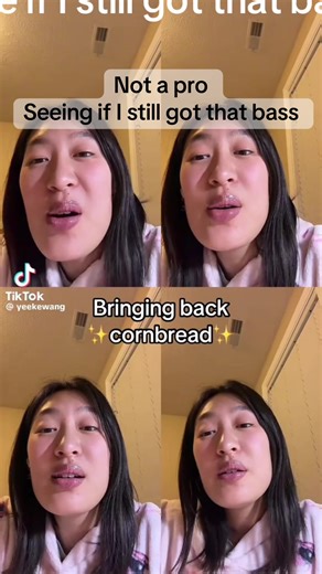 Not a pro but Do I still have that bass? | travel x cross #acapella #bass