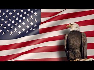 Eagle American Flag No copyright video footage
