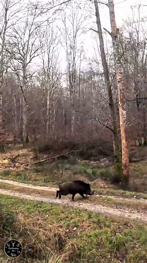 HIT OR MISS IN YOUR OPINION? 🤔