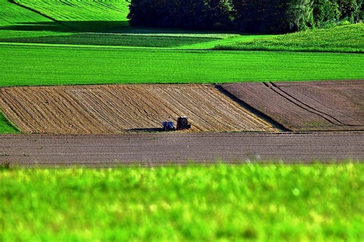 Regeneration of Our Lands: A Producer’s Perspective | Gabe Brown | TEDxGrandForks - MAHB