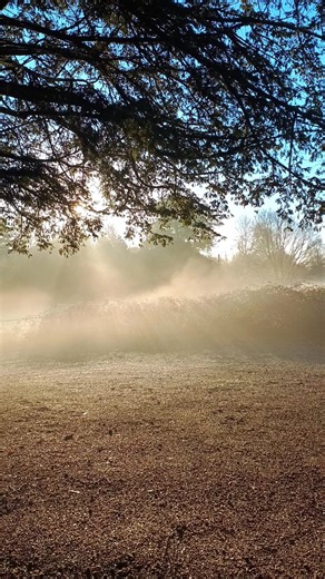 Ice Crystals #vapour