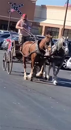 confederate.ai2 (@confederate.ai.ba)’s videos with original sound - confederate.ai2