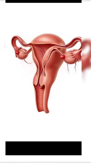 Irregular Periods ovary Explained | Menstrual Cycle Imbalance Causes & Recovery