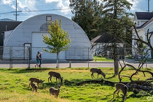Living in Arcadia, WI