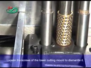 DPB 250F blister packing machine Operation Video