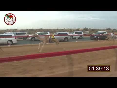 12 APL 26 HABAB R 10