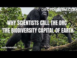 Biodiversity and Conservation in DRC's Parks