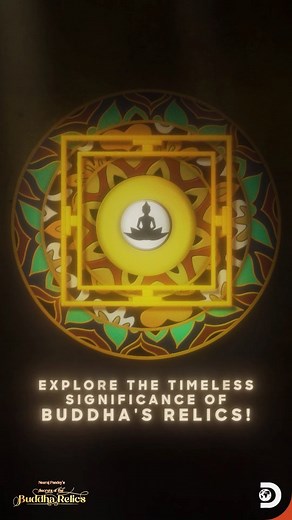 5.3K views · 47 reactions | Discovery Channel India on Reels | Facebook