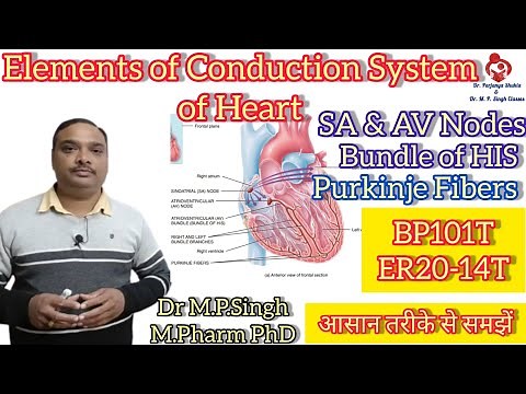 Elements of Conduction System of Heart | AV & SA Nodes Bundle of HIS Purkinje fibers | HAP-I | BP101