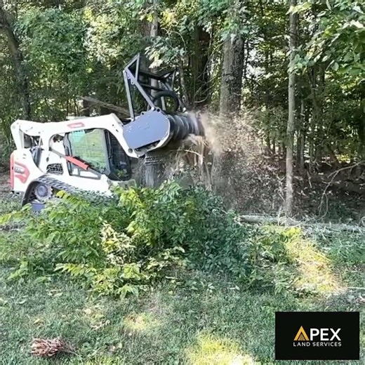 Treeline Clearing — Ohio Property Transformation 💪