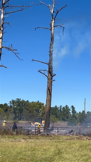 206K views · 901 reactions | Here is the dangers part of fire woods and brush fires. Thanks to the Texas Forest Servive | Groveton Volunteer Fire Department | Facebook